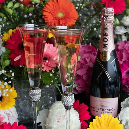 酒店 基拉尼橡树酒店 基拉尼